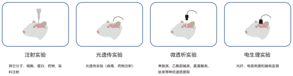 M5005標準型小鼠腦立體定位儀(圖1)